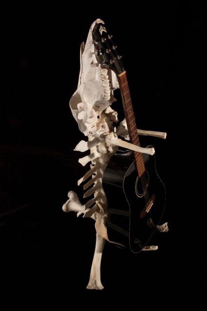 Photo-Joshua White 2010-6553.jpg - "Skeleton Guitar Stand" 25 x 50 x 28" Cow Skull and Bones, Epoxy Clay on Aluminum Stand  2011