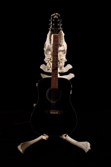 Photo-Joshua White 2010-6563.jpg - "Skeleton Guitar Stand" 25 x 50 x 28" Cow Skull and Bones, Epoxy Clay on Aluminum Stand  2011